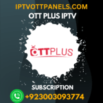 b1g iptv