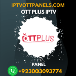 b1g iptv