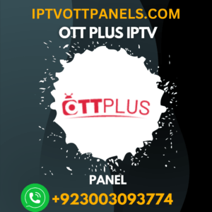 b1g iptv