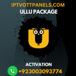 b1g iptv