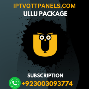 b1g iptv