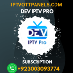 b1g iptv